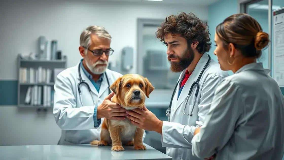 Key factors driving pet insurance trends